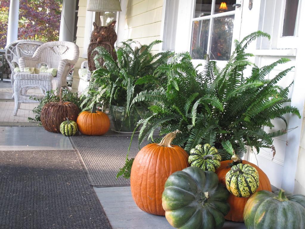 Hilltop House Bed & Breakfast Amenia Exterior photo